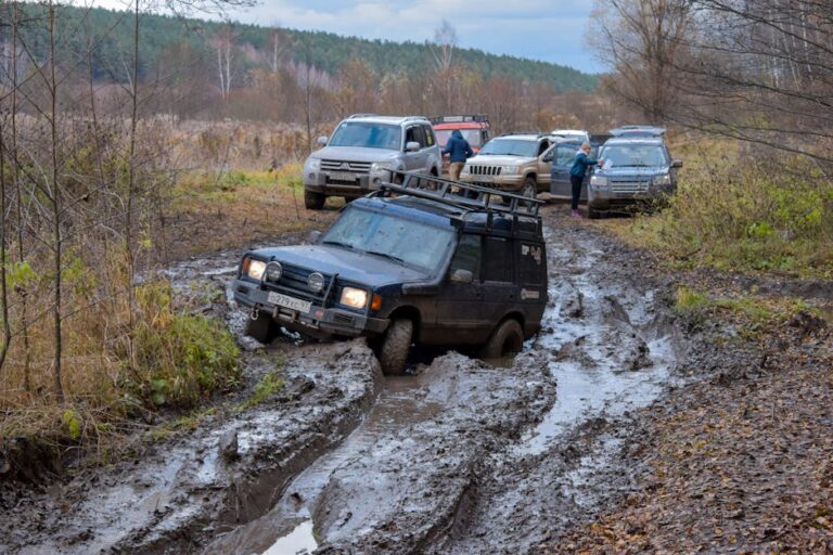 Recovery Strap vs Tow Strap: Which Wins for Overlanding Recovery?