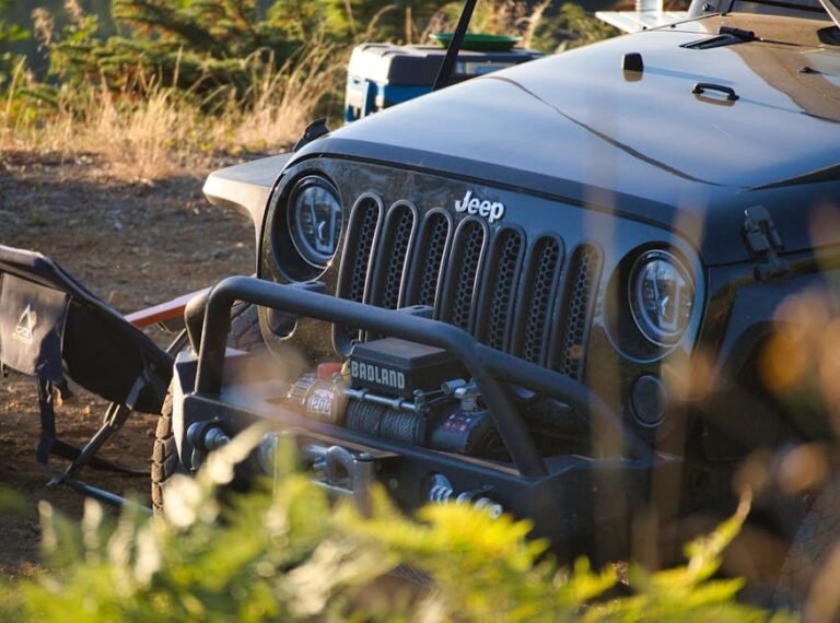 Best Heavy Duty Tree Saver Strap? Don’t Buy Until You See These Certifications